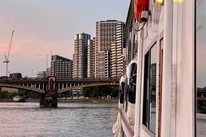 Golden Salamander Side View 