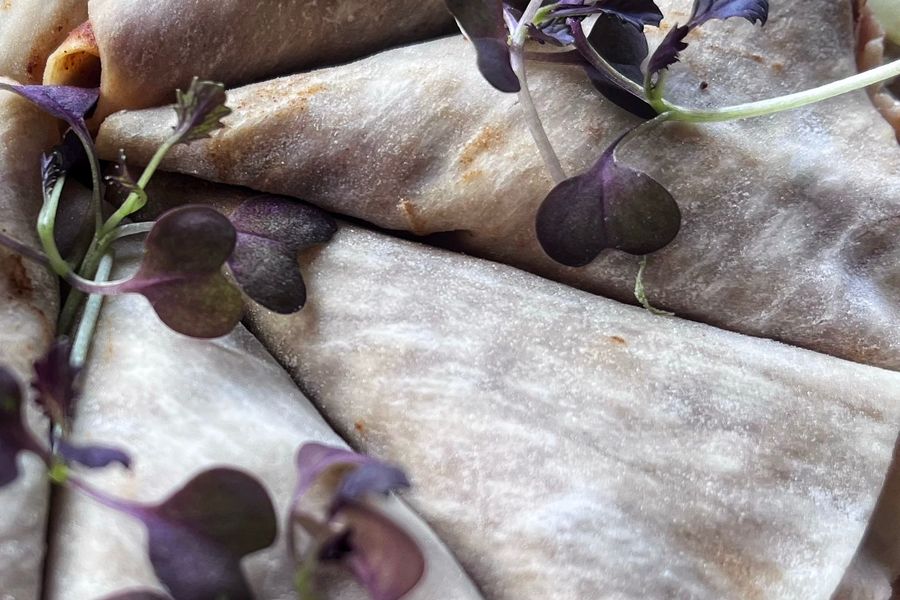 Shredded Smoked Duck Rolls • Rice Paper • cucumber • spring onion • plum sauce (DF/GF)