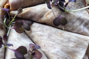 Shredded Smoked Duck Rolls • Rice Paper • cucumber • spring onion • plum sauce (DF/GF) Shredded Smoked Duck Rolls • Rice Paper • cucumber • spring onion • plum sauce (DF/GF)