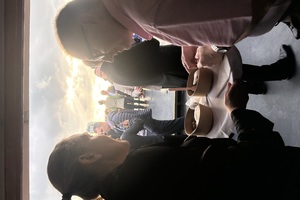 Thai-flavoured chicken sautéed with vegetables in a green curry sauce [DF, GF]  