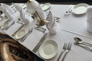 Golden Salamander, Seated Dinner 