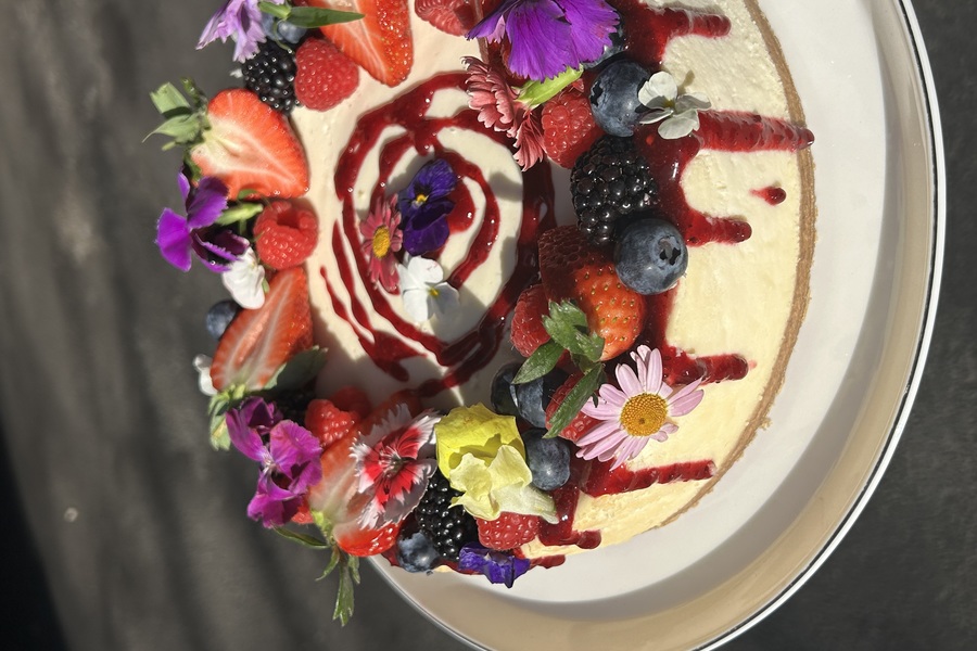 Fruit Topped Cheesecake