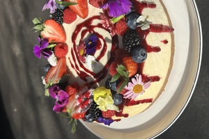 Fruit Topped Cheesecake Fruit Topped Cheesecake